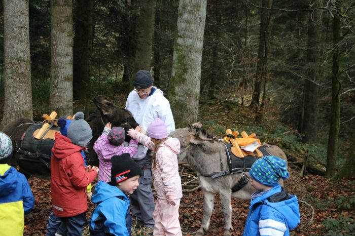 IMG_8925